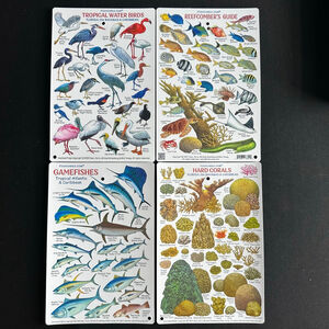 Collectors FISHCARDS front and back set (4)